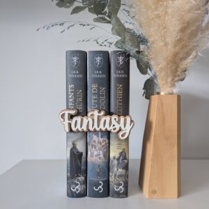Décoration bibliothèque Fantasy