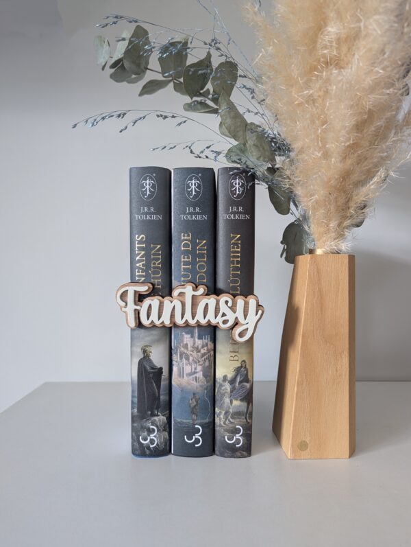 Décoration bibliothèque Fantasy