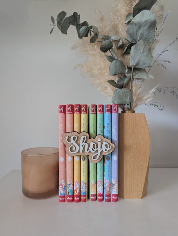 Décoration bibliothèque Shojo
