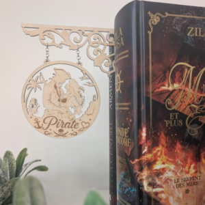 Enseigne de bibliothèque Pirate